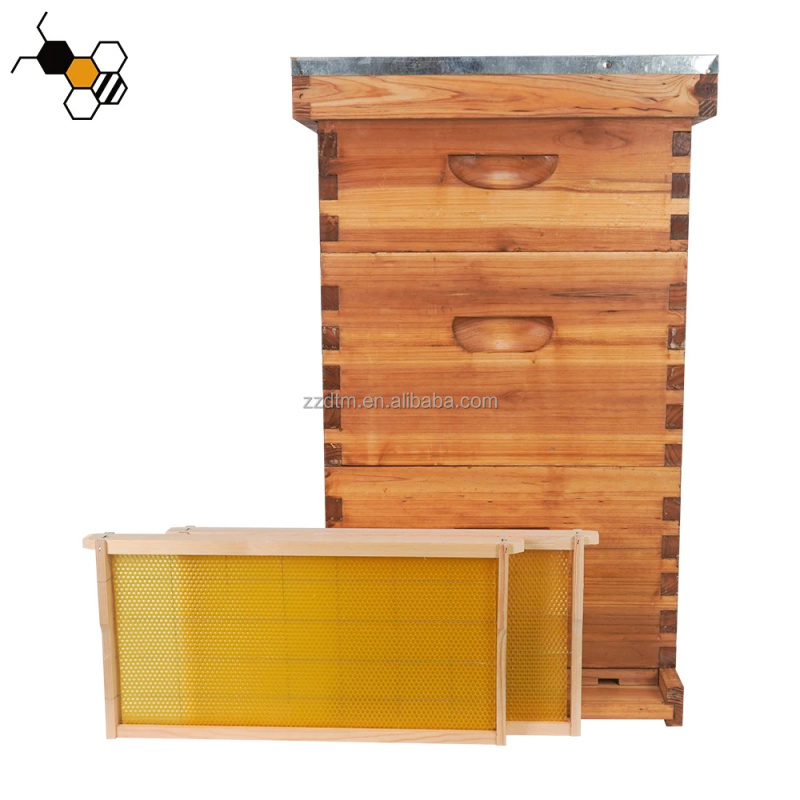 Beehive Frame Wax - Yüksek Kaliteli 30 Çerçeveli Arı Kovanı