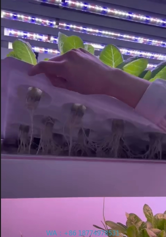 Farming Agriculture Equipment - Sera Tarım Ekipmanları Mantar Sebze Meyve