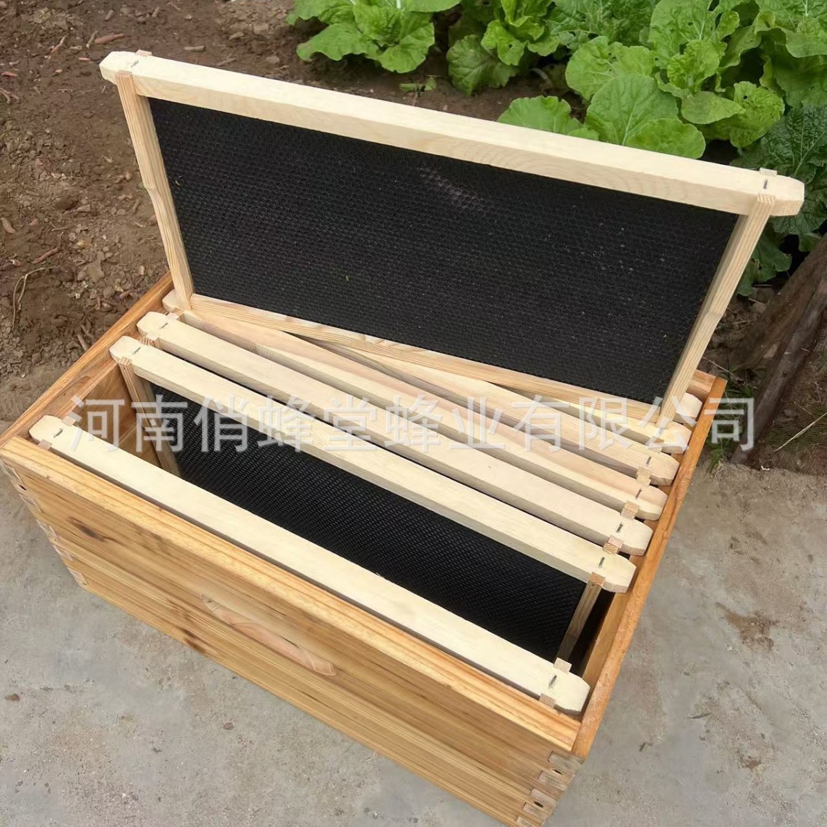 Beehive Frame Wax - Arıcılık Aletleri Birinci Sınıf Sessiz Plastik