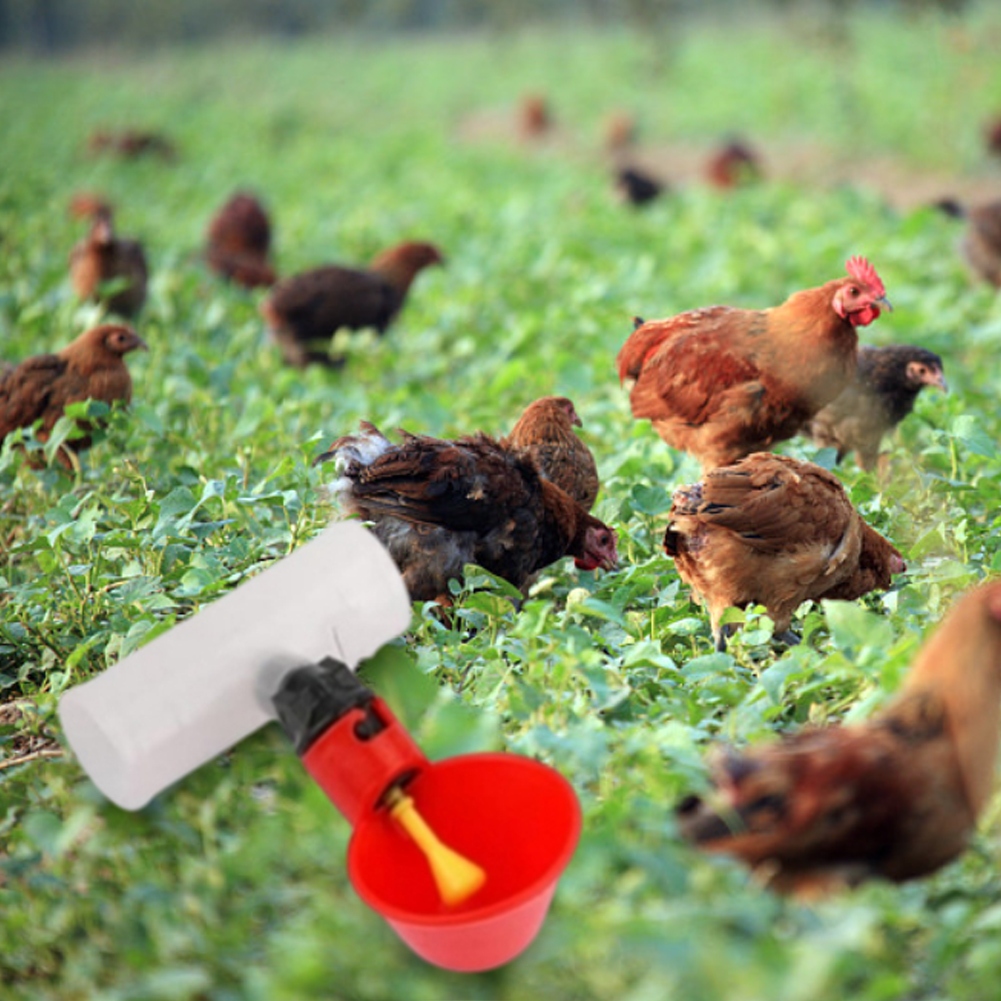 Chicken Nipple Drinker - 6 adet Tee PVC boru bağlantı