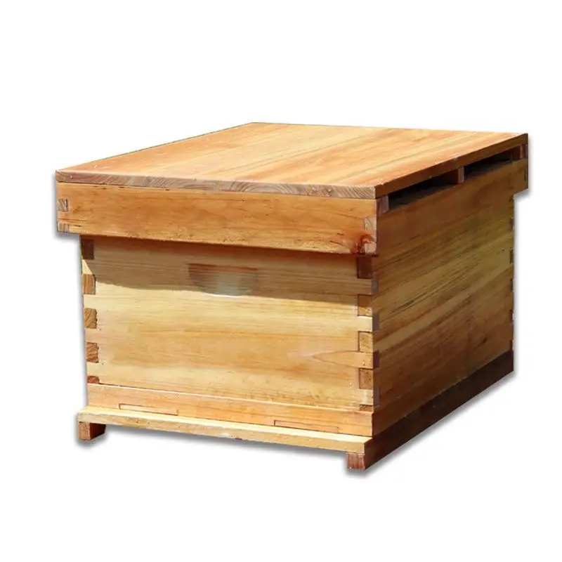 Beehive Frame Wax - Bal Arısı Kovanı Kaynatılmış Balmumu Standart