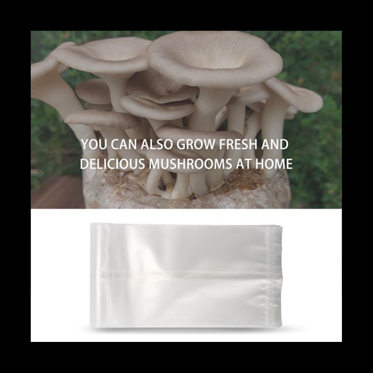 Mushroom Spawn Bag - A78I 50 Adet Mantar Yetiştirme Torbası/Mantar