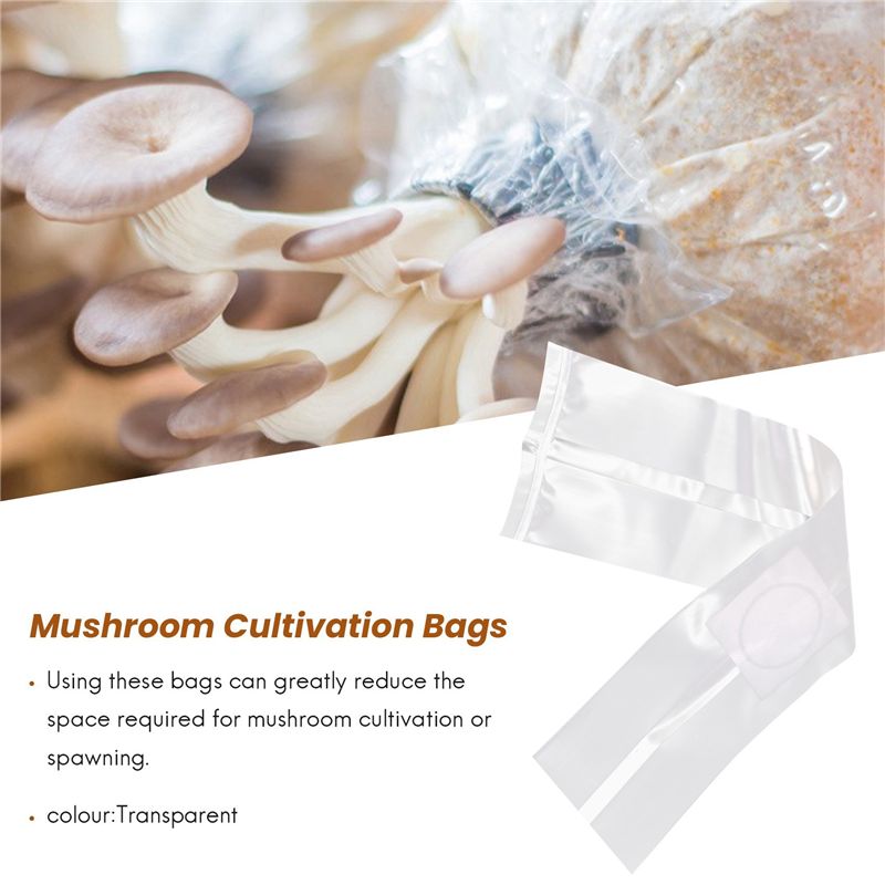 100 Adet Mantar Yetiştirme Tor - Mushroom Spawn Bag incelemesi ve fiyatı