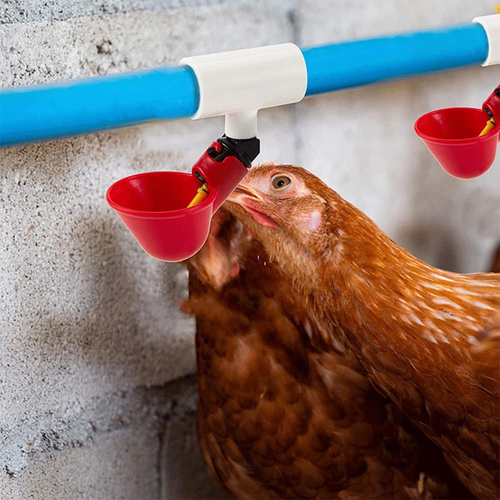 Tavuk Suluk PVC T Bağlantı Par - Chicken Nipple Drinker incelemesi ve fiyatı