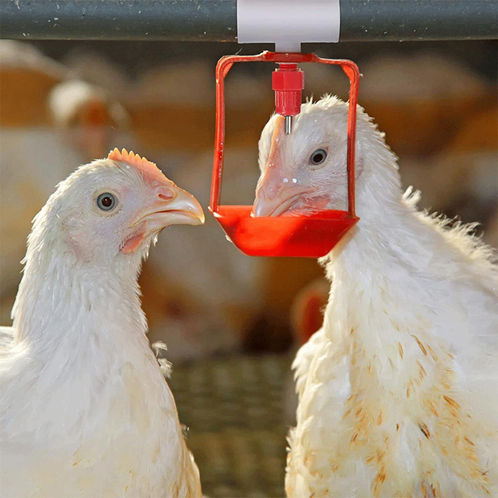 Tavuk Suluk PVC T Bağlantı Par - Chicken Nipple Drinker incelemesi ve fiyatı