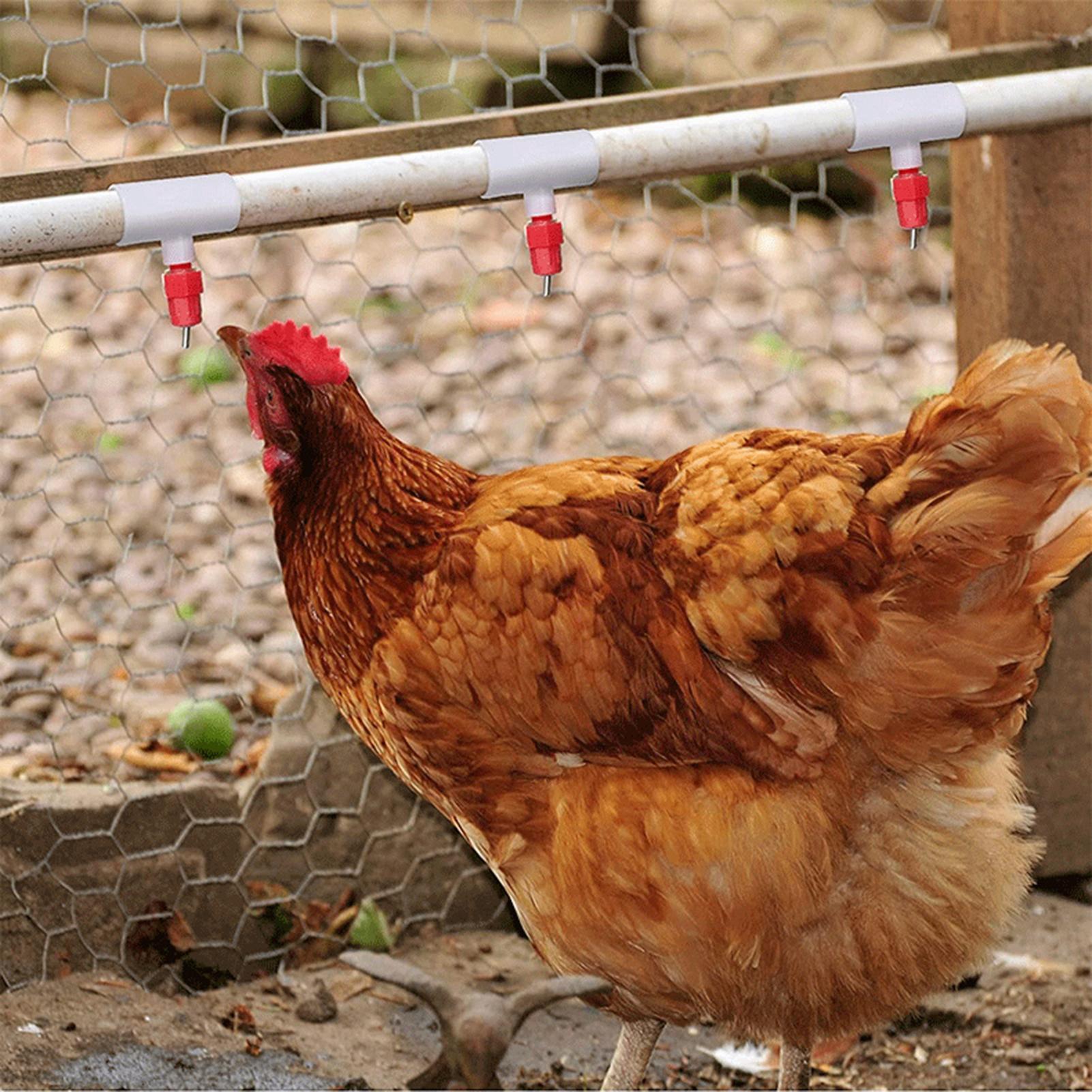 Tavuk Suluk PVC T Bağlantı Par - Chicken Nipple Drinker incelemesi ve fiyatı