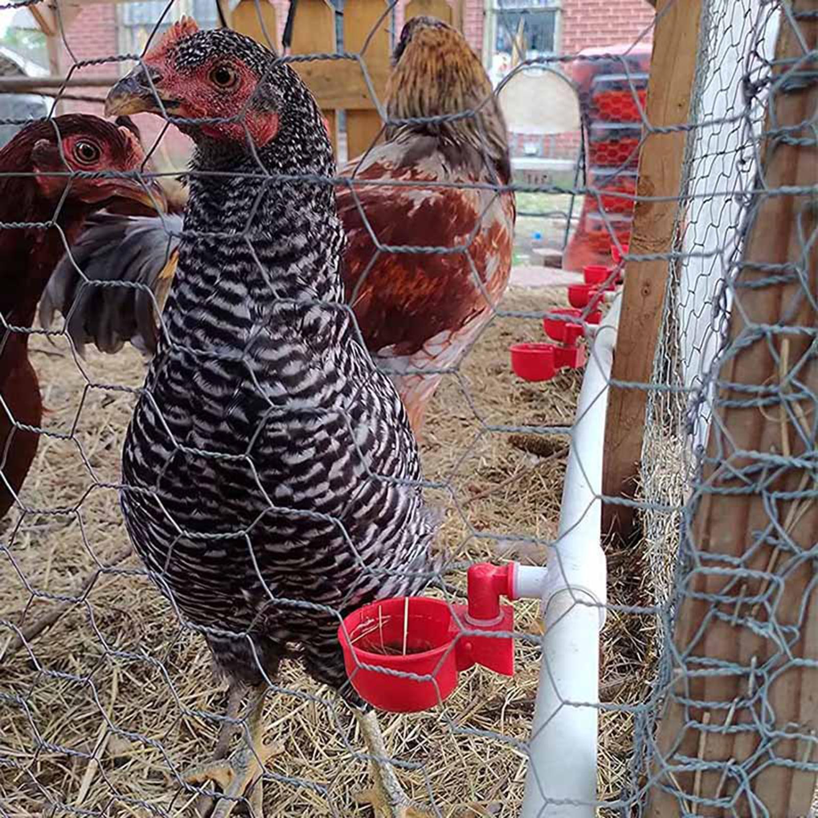 Tavuk Suluk PVC T Bağlantı Par - Chicken Nipple Drinker incelemesi ve fiyatı