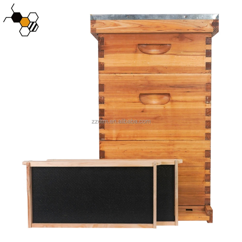 Yüksek Kaliteli 30 Çerçeveli A - Beehive Frame Wax incelemesi ve fiyatı