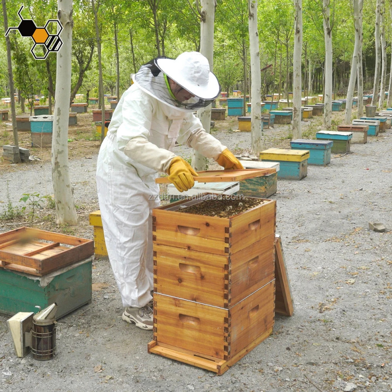 Yüksek Kaliteli 30 Çerçeveli A - Beehive Frame Wax incelemesi ve fiyatı