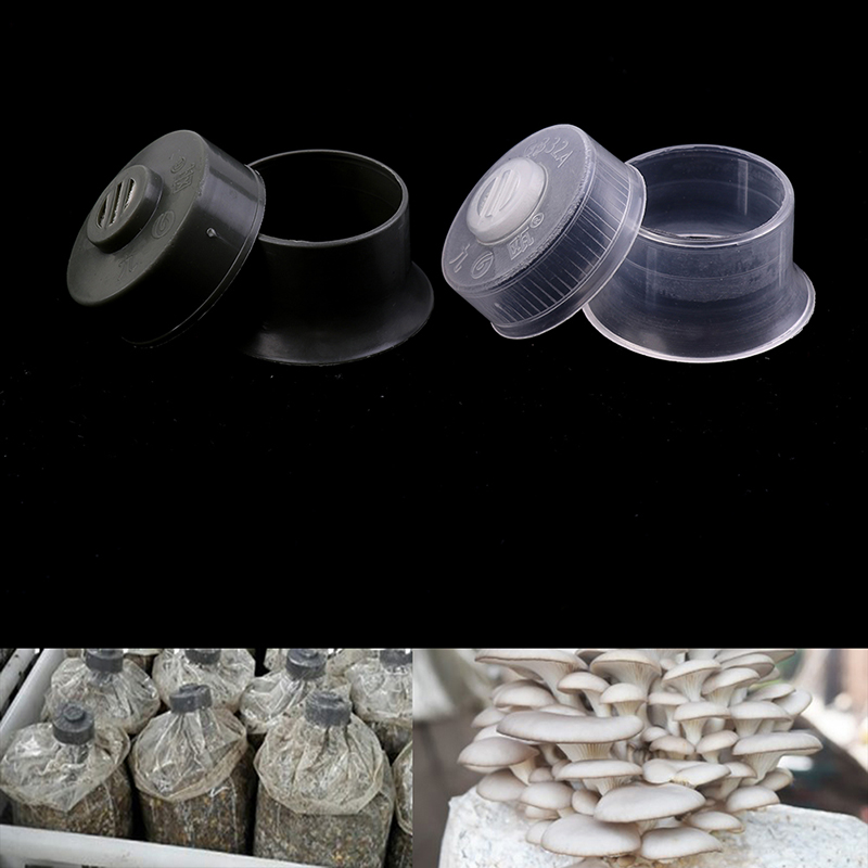 20 adet mantar Spawn büyümek ç - Mushroom Spawn Bag incelemesi ve fiyatı