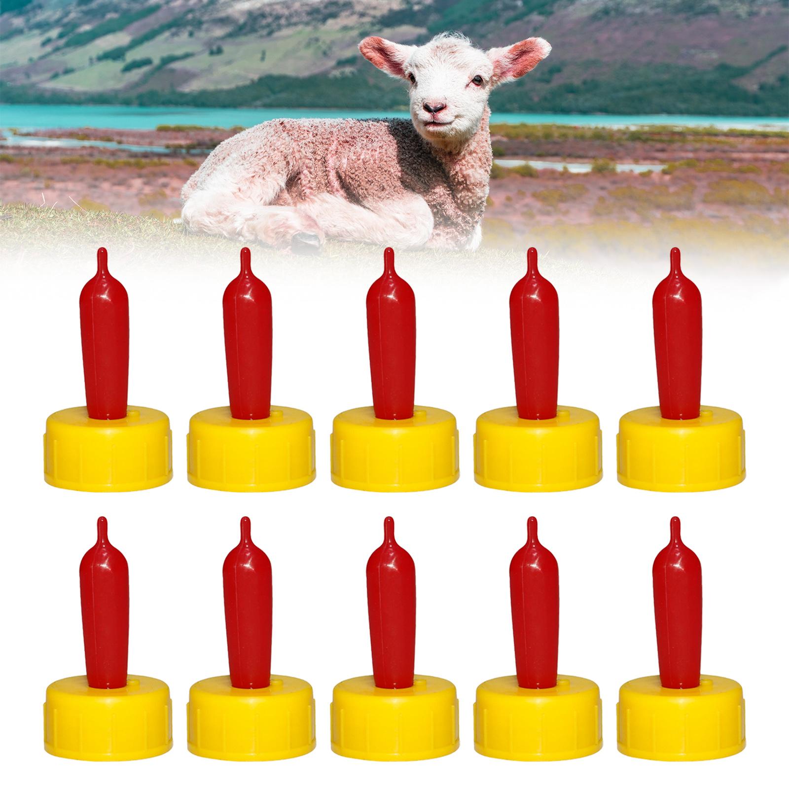 Koyun Keçi Kuzu Buzağı Emzik B - Agriculture Goat Farming incelemesi ve fiyatı