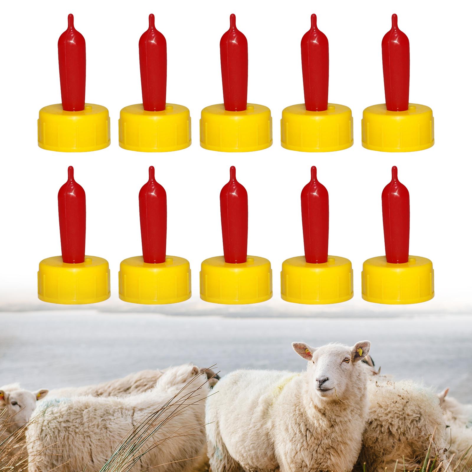 Koyun Keçi Kuzu Buzağı Emzik B - Agriculture Goat Farming incelemesi ve fiyatı