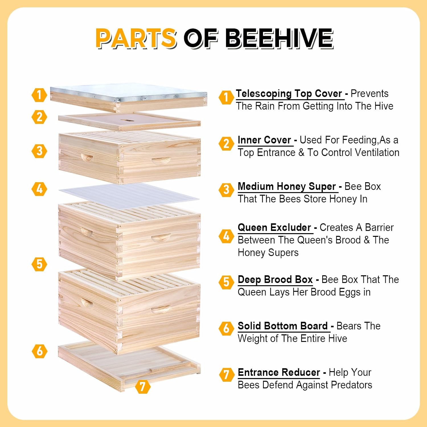 10 Çerçeveli Komple Arı Kovanı - Beehive Frame Wax incelemesi ve fiyatı