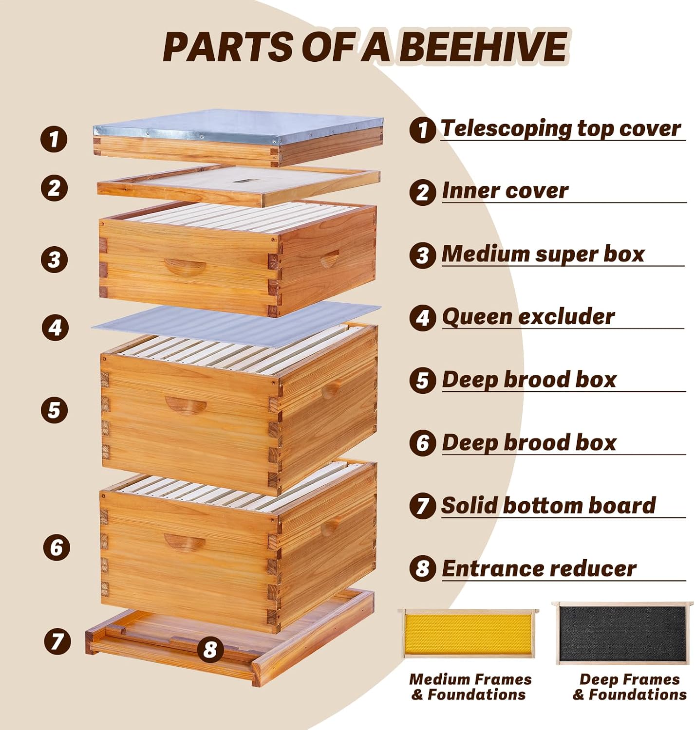 10 Çerçeveli Langstroth Arı Ko - Beehive Frame Wax incelemesi ve fiyatı