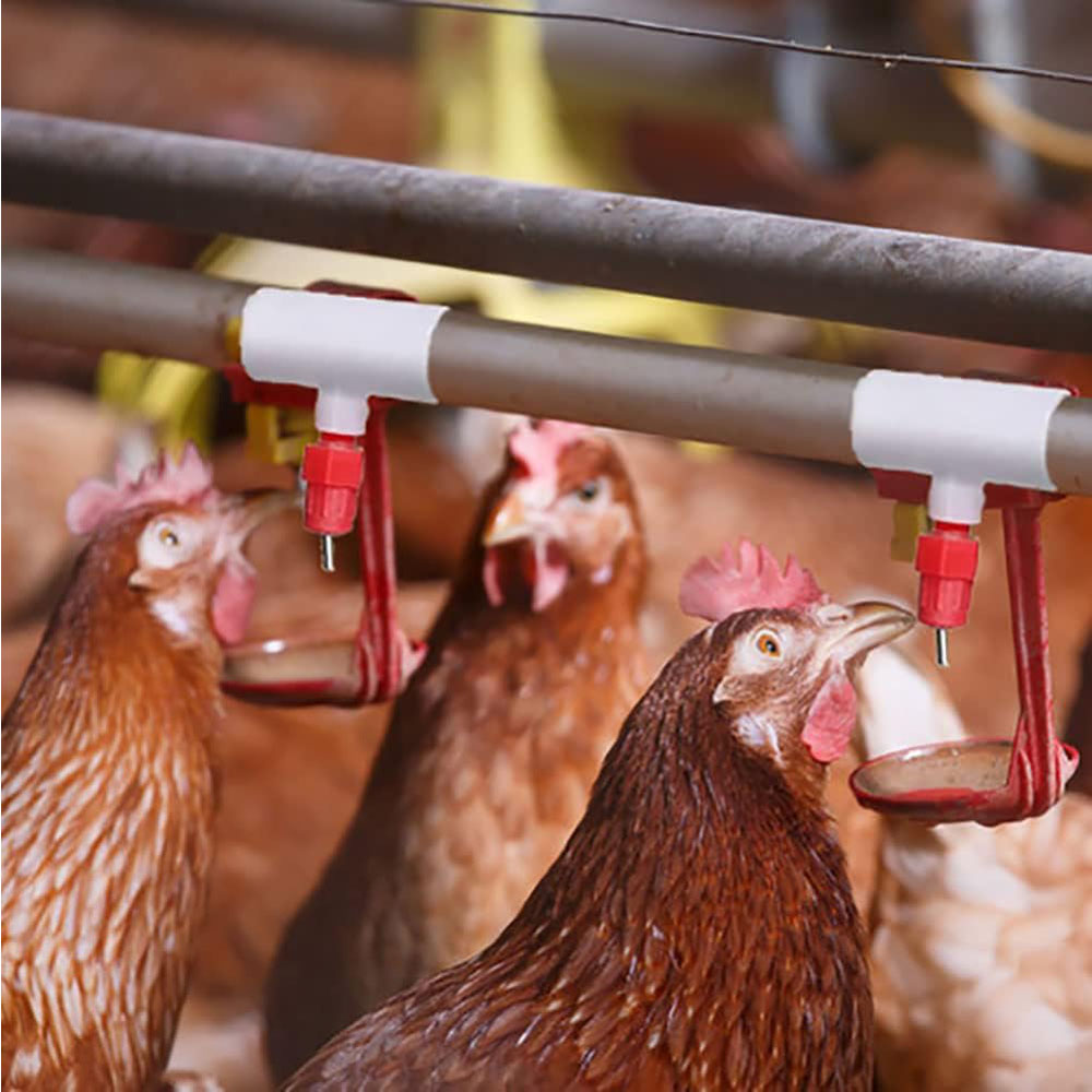 Tavuk Suluk PVC T Bağlantı Par - Chicken Nipple Drinker incelemesi ve fiyatı
