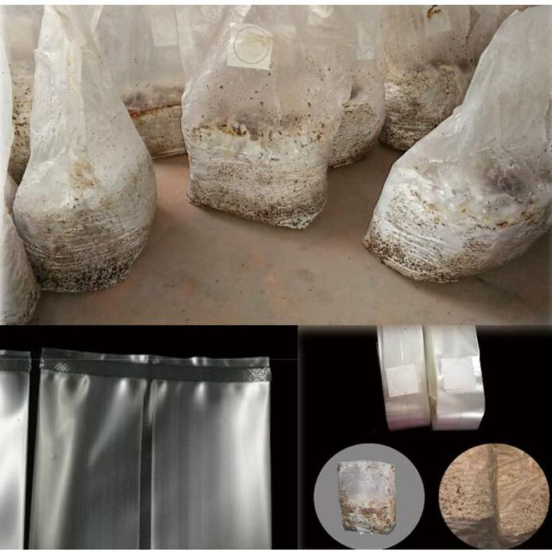 10x18x35 cm 50 cm mantar Spawn - Mushroom Spawn Bag incelemesi ve fiyatı
