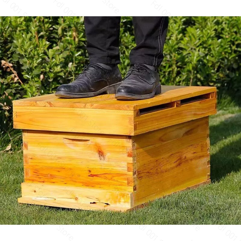 Tam Arıcılık Başlangıç Seti 10 - Beehive Frame Wax incelemesi ve fiyatı