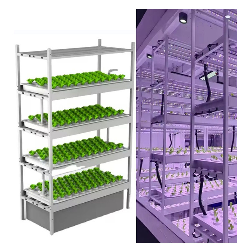 Sera Tarım Ekipmanları Mantar  - Farming Agriculture Equipment incelemesi ve fiyatı