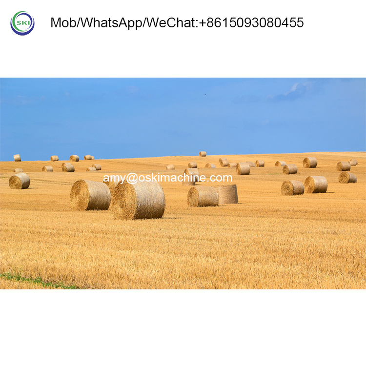 Otomatik Silaj Paketleme Demet - Silage Baler Machine incelemesi ve fiyatı