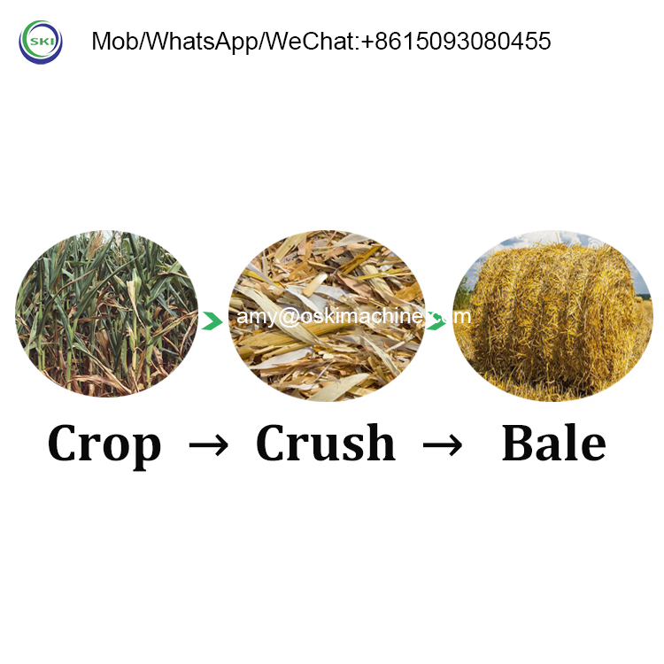 Otomatik Silaj Paketleme Demet - Silage Baler Machine incelemesi ve fiyatı