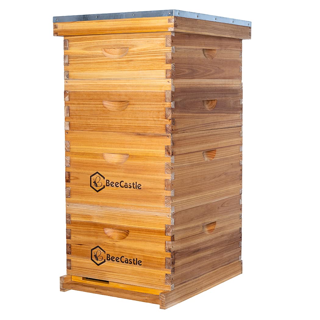 10 Çerçeveli Langstroth Arı Ko - Beehive Frame Wax incelemesi ve fiyatı