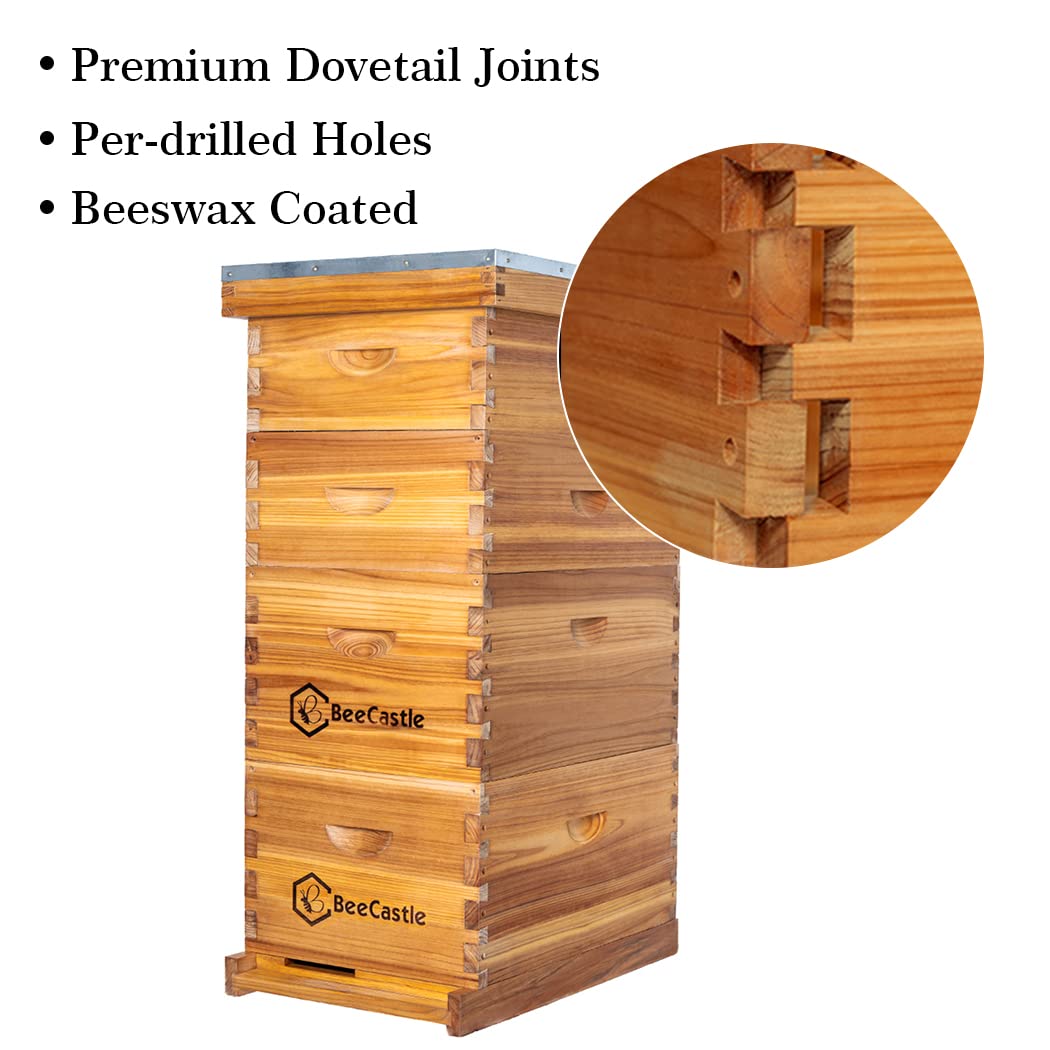 10 Çerçeveli Langstroth Arı Ko - Beehive Frame Wax incelemesi ve fiyatı