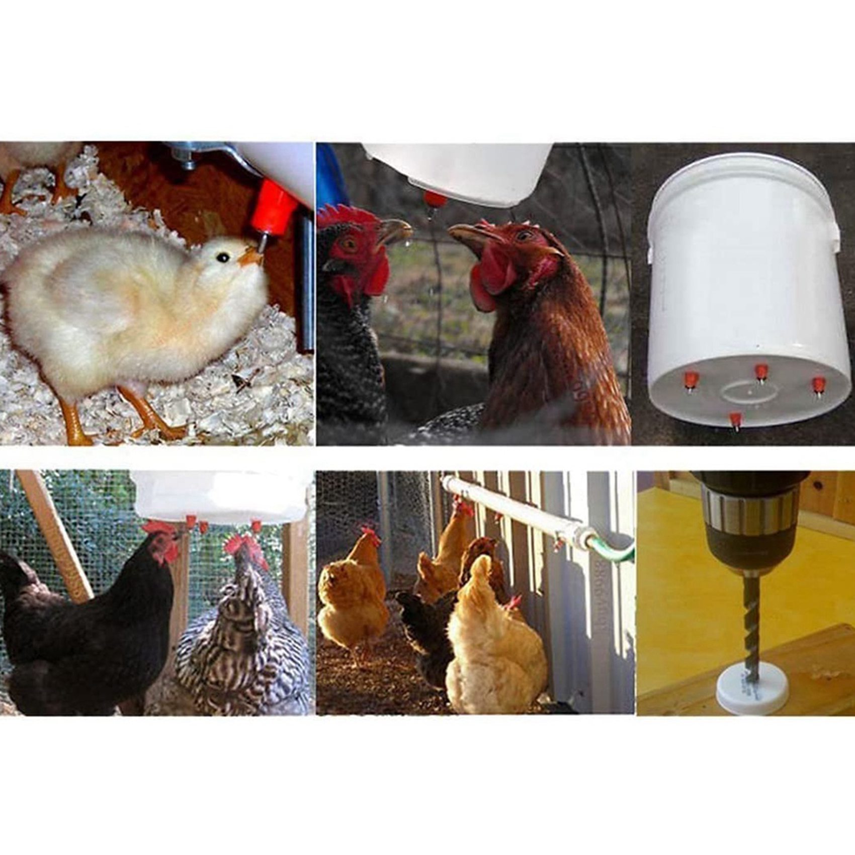 150 Adet Kümes Hayvanları Tavu - Chicken Nipple Drinker incelemesi ve fiyatı