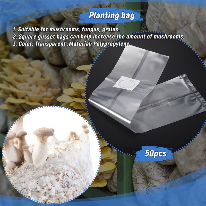 50 Adet 10X20 Inç PVC Mantar M - Mushroom Spawn Bag incelemesi ve fiyatı
