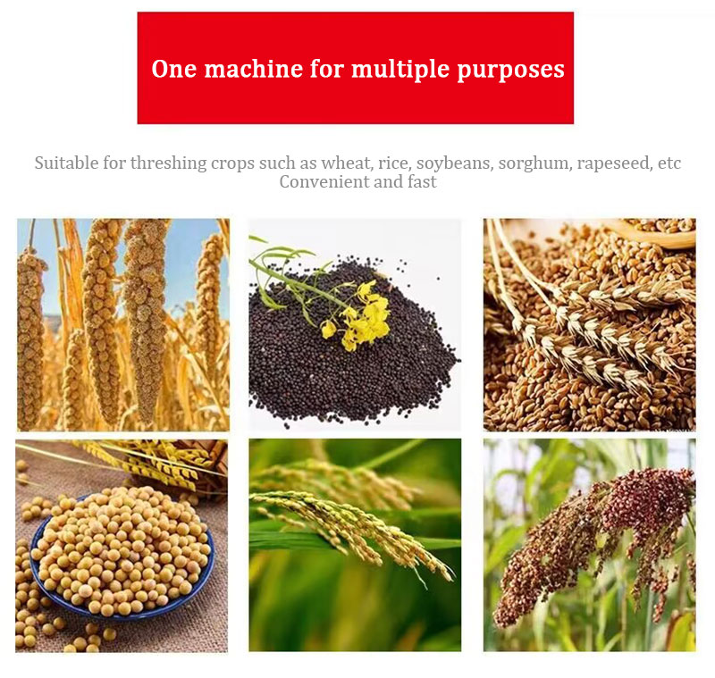 Mısır Pirinç Buğday Mısır Fasu - Rice Thresher Machine incelemesi ve fiyatı