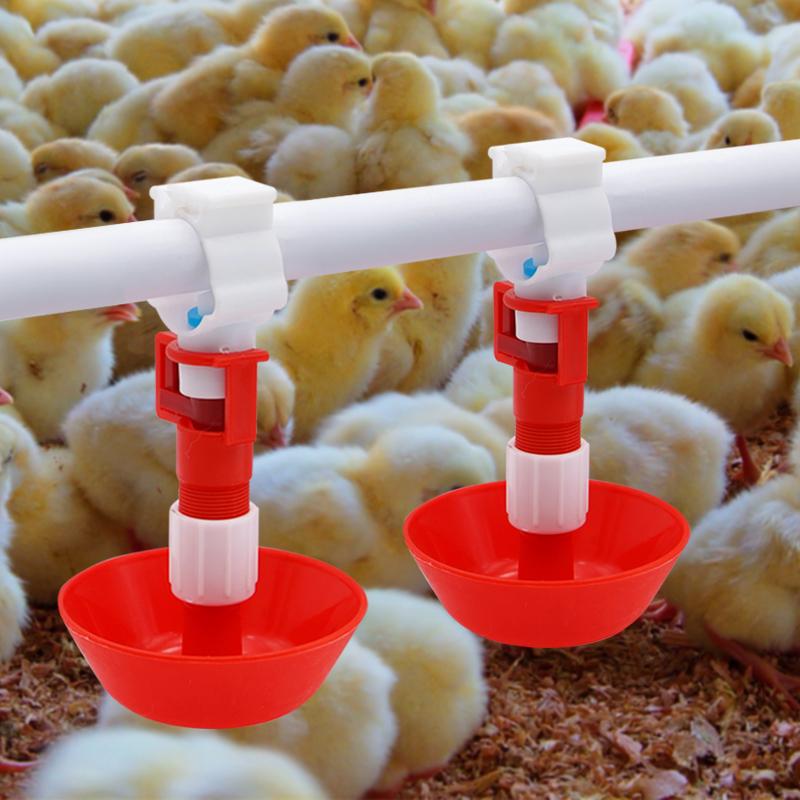 5/10/20 adet otomatik tavuk su - Chicken Nipple Drinker incelemesi ve fiyatı