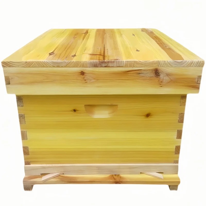 Arı Kutusunda Arı Kovanı, Tam  - Beehive Frame Wax incelemesi ve fiyatı