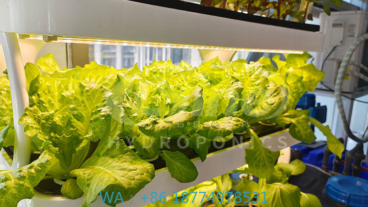 Sebze, Marul ve Çilek Yetiştir - Farming Agriculture Equipment incelemesi ve fiyatı
