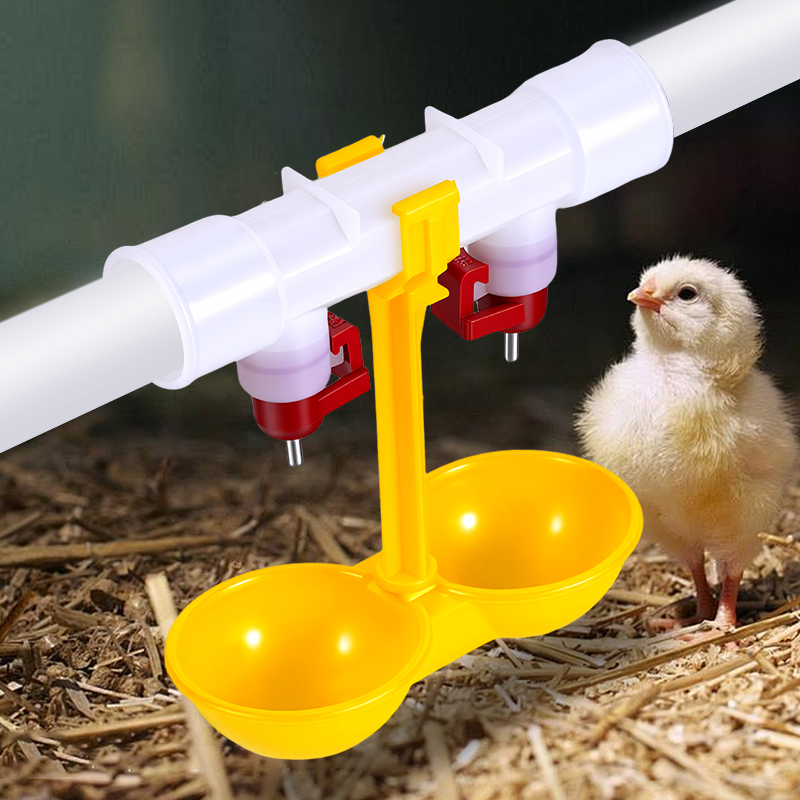 10/20/30 adet tavuk çift nipel - Chicken Nipple Drinker incelemesi ve fiyatı