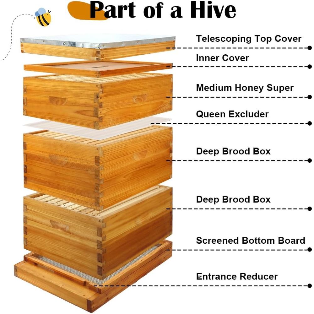 10 Çerçeveli Balmumu Kaplı Alt - Beehive Frame Wax incelemesi ve fiyatı