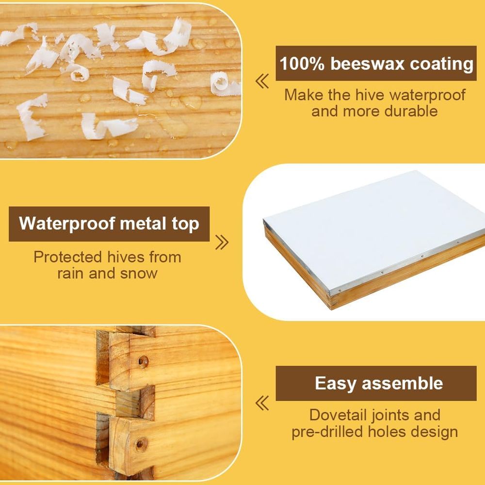 10 Çerçeveli Balmumu Kaplı Alt - Beehive Frame Wax incelemesi ve fiyatı