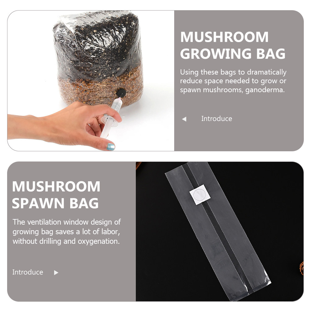 20 Adet Mantar Yetiştirme Torb - Mushroom Spawn Bag incelemesi ve fiyatı