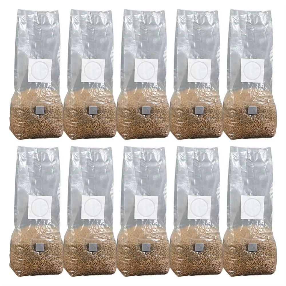 50 adet PP Mantar Yetiştirme T - Mushroom Spawn Bag incelemesi ve fiyatı