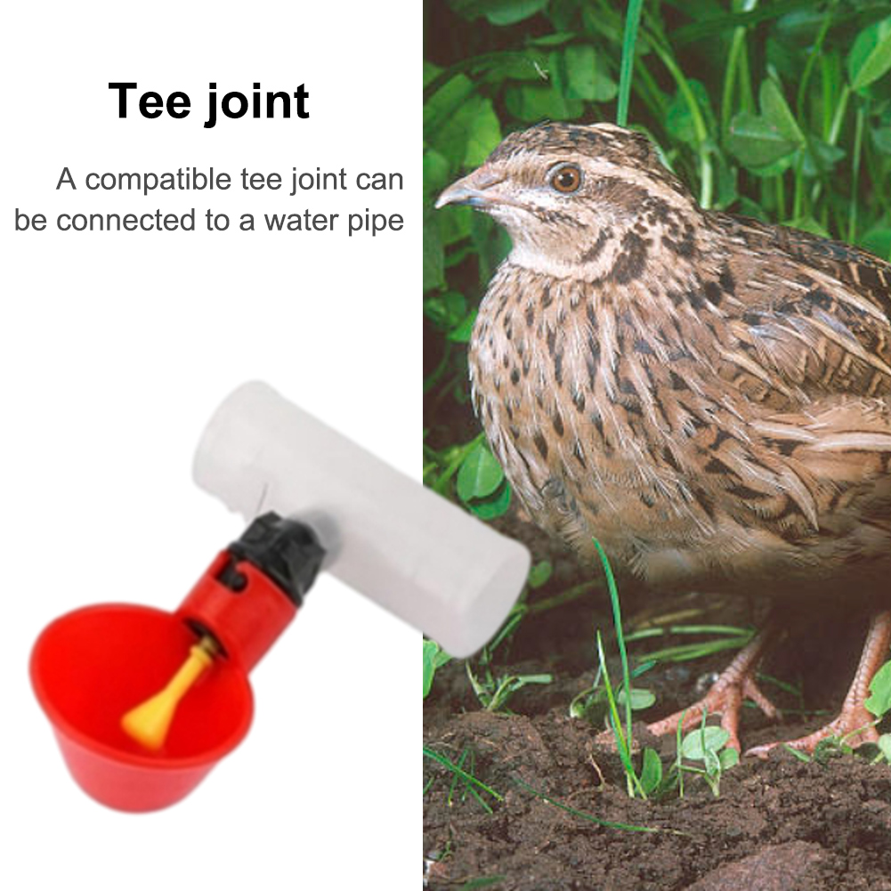 6 adet Tee PVC boru bağlantı p - Chicken Nipple Drinker incelemesi ve fiyatı