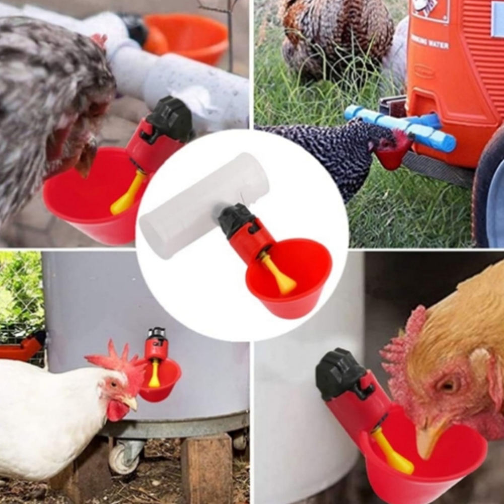 6 adet Tee PVC boru bağlantı p - Chicken Nipple Drinker incelemesi ve fiyatı