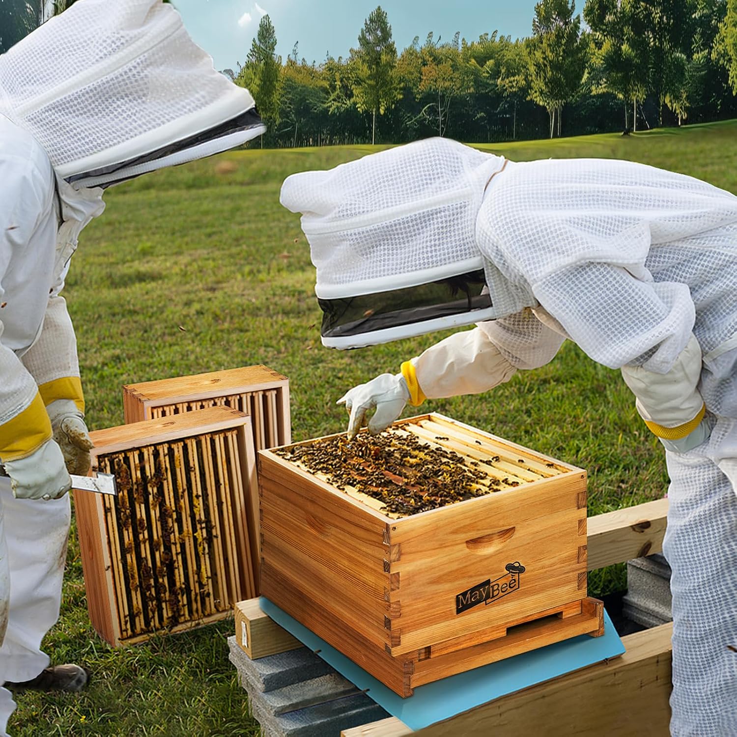 Arı Kovanı Başlangıç Seti 8 Çe - Beehive Frame Wax incelemesi ve fiyatı