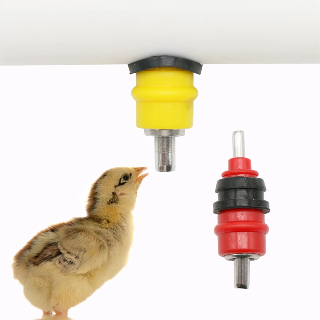 10 adet bıldırcın güvercin kuş - Chicken Nipple Drinker incelemesi ve fiyatı