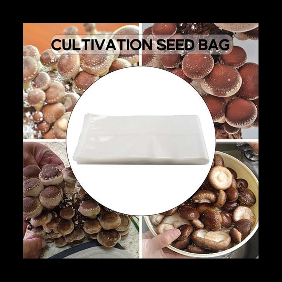 A78I 50 Adet Mantar Yetiştirme - Mushroom Spawn Bag incelemesi ve fiyatı